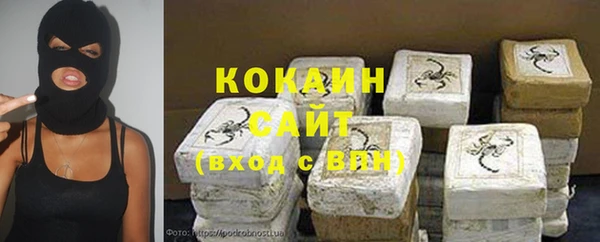 прущие крисы Инта
