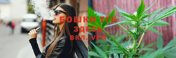 молекула духа Инсар