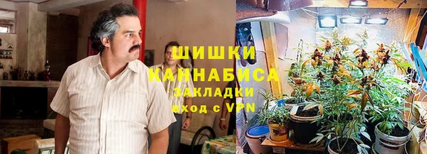 прущие крисы Инта