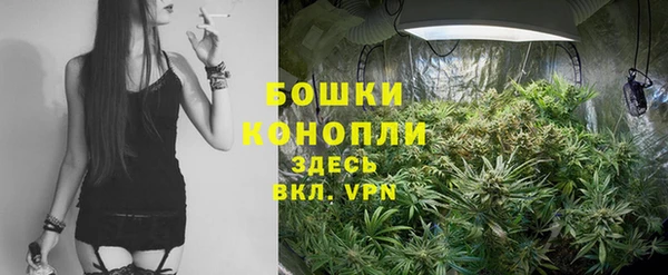 прущие крисы Инта