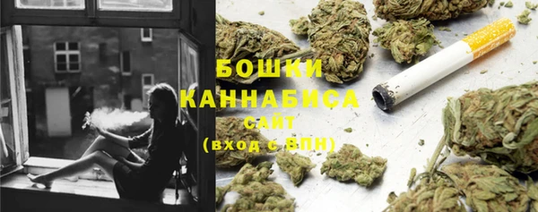 прущие крисы Инта