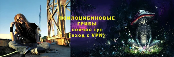 прущие крисы Инта
